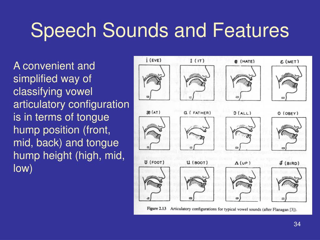 speech sound production meaning