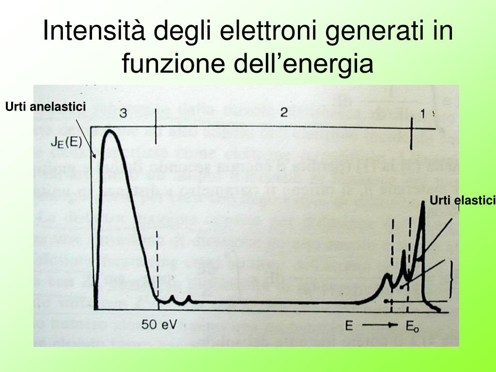 Il Microscopio Elettronico a Scansione - ppt video online scaricare