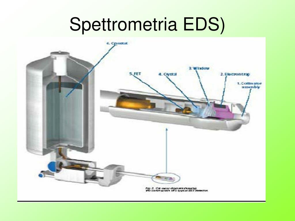 Il Microscopio Elettronico a Scansione - ppt video online scaricare
