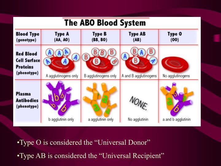 blood notes blood notes