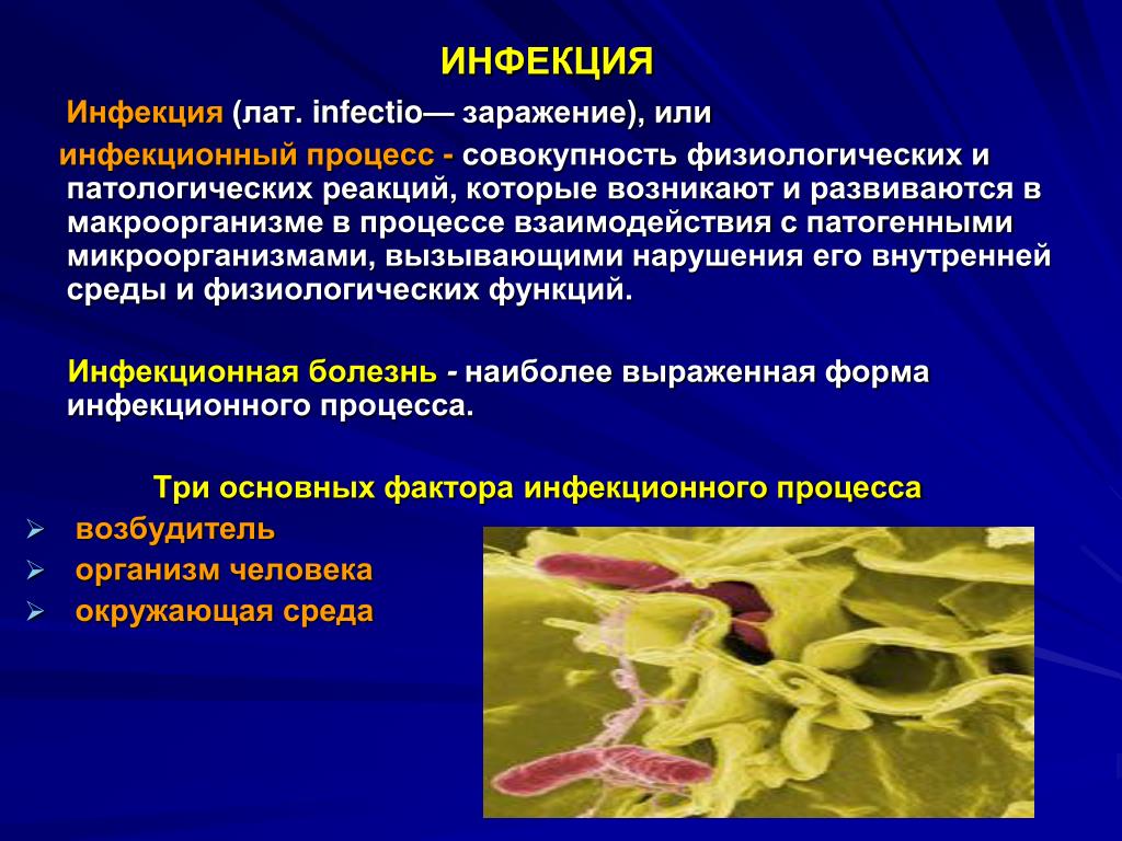Инфекционная болезнь определение
