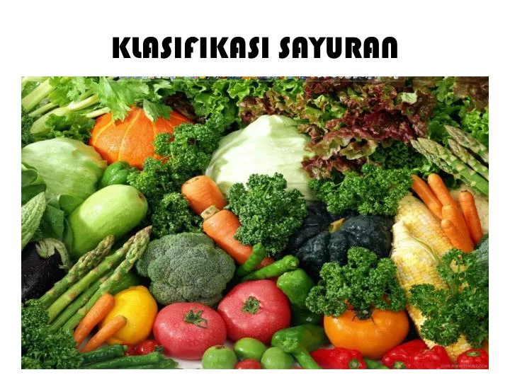 PPT KLASIFIKASI SAYURAN PowerPoint Presentation free PPT KLASIFIKASI SAYURAN PowerPoint Presentation free
