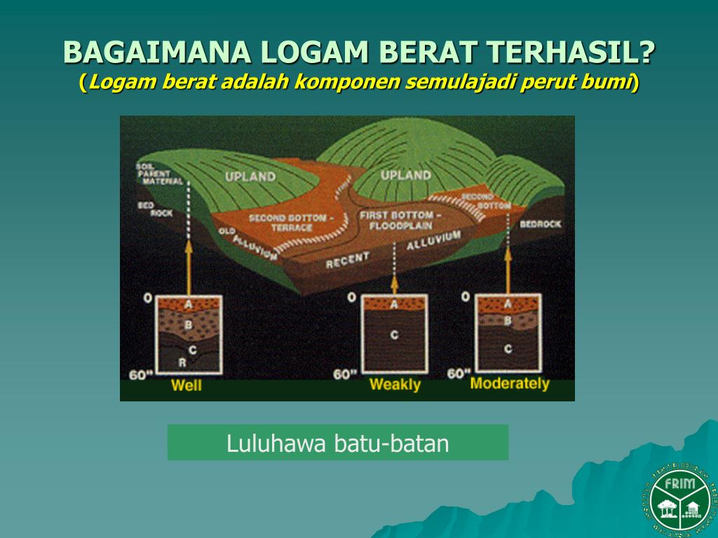PPT ANALISIS TAHAP LOGAM BERAT DALAM SAMPEL HERBAL PowerPoint Presentation ID