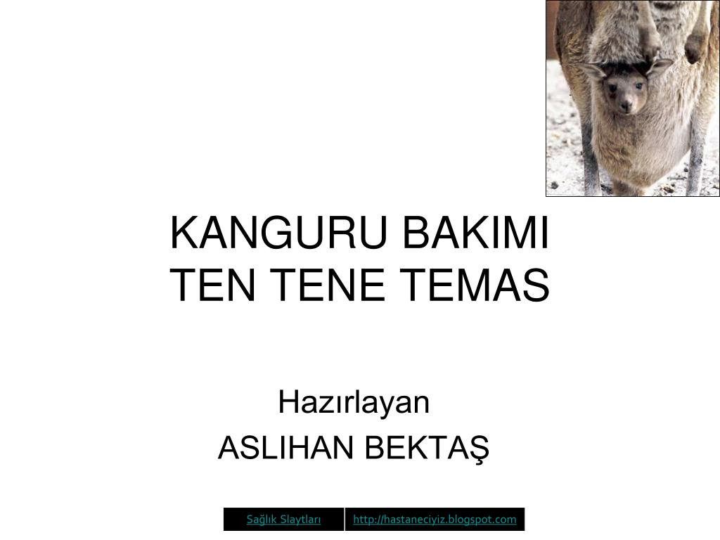 PPT - KANGURU BAKIMI TEN TENE TEMAS PowerPoint Presentation - ID:5089112