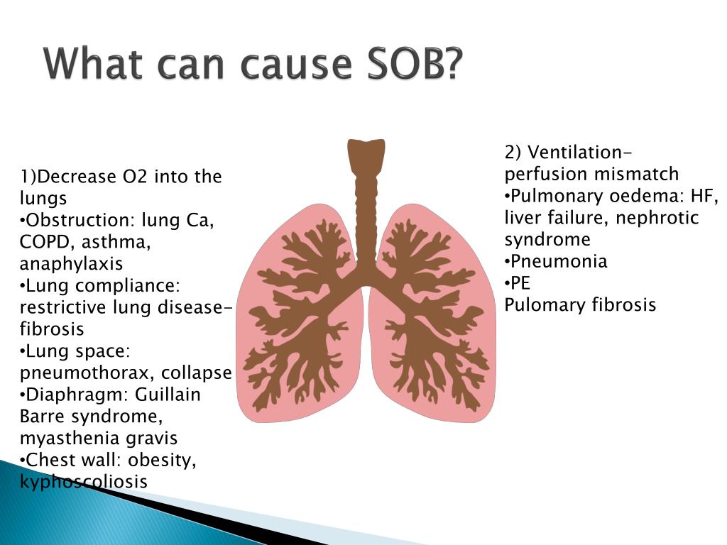 Copd Lung Sounds Rebcreative