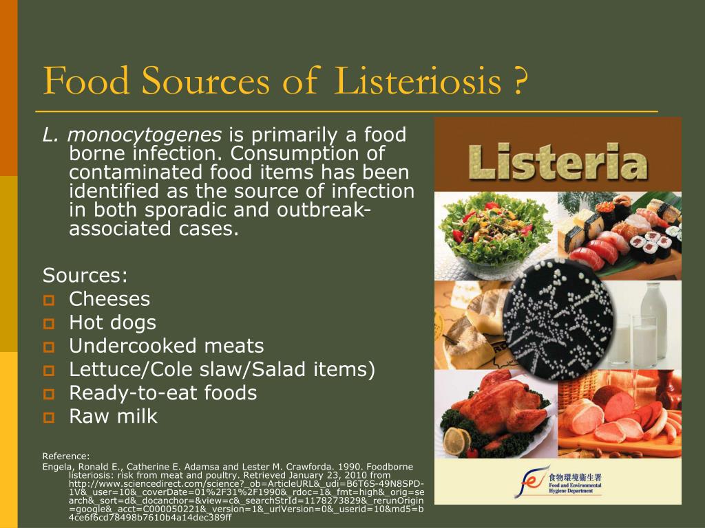 PPT Food Borne Illness PowerPoint Presentation, free download ID