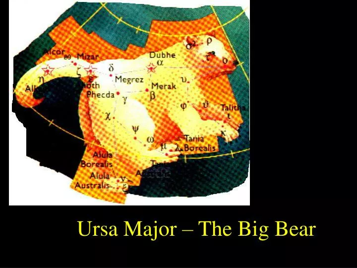 ursa major the big bear n.