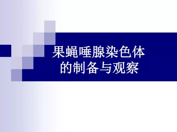 Ppt 果蝇唾腺染色体的制备与观察powerpoint Presentation Id 5096776