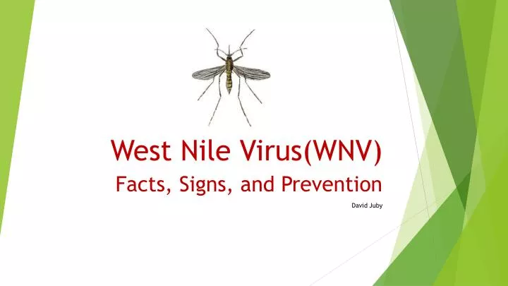 west nile virus wnv n.