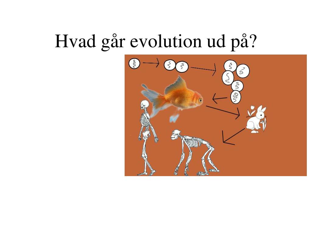 PPT - Evolution PowerPoint Presentation, free download - ID:5097815