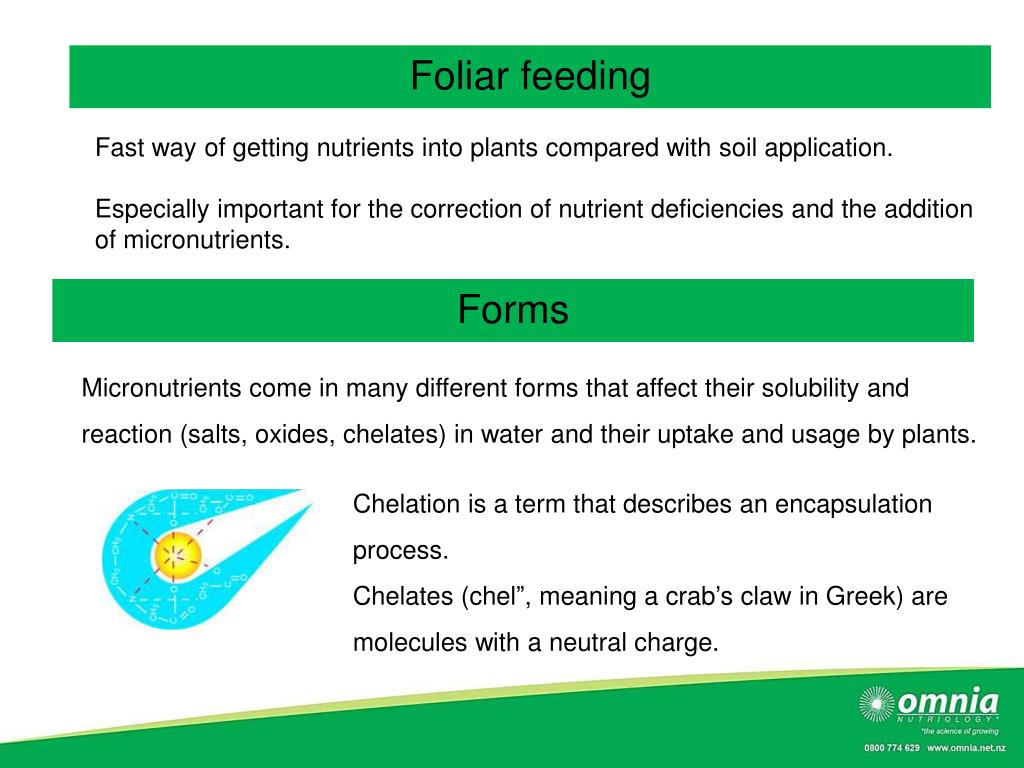 PPT Foliar feeding through Mate Ranges PowerPoint Presentation, free