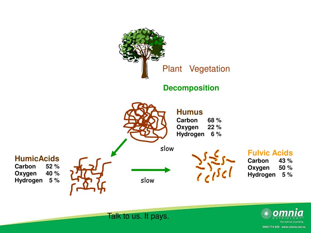 PPT Foliar feeding through Mate Ranges PowerPoint Presentation, free