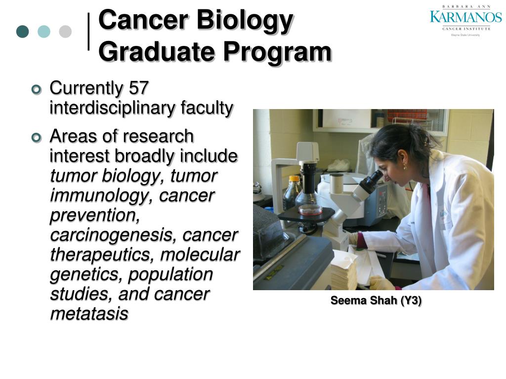 phd positions in cancer biology