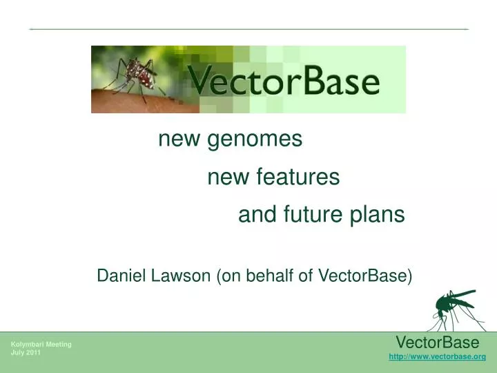 PPT - VectorBase vectorbase PowerPoint Presentation, free download - ID ...