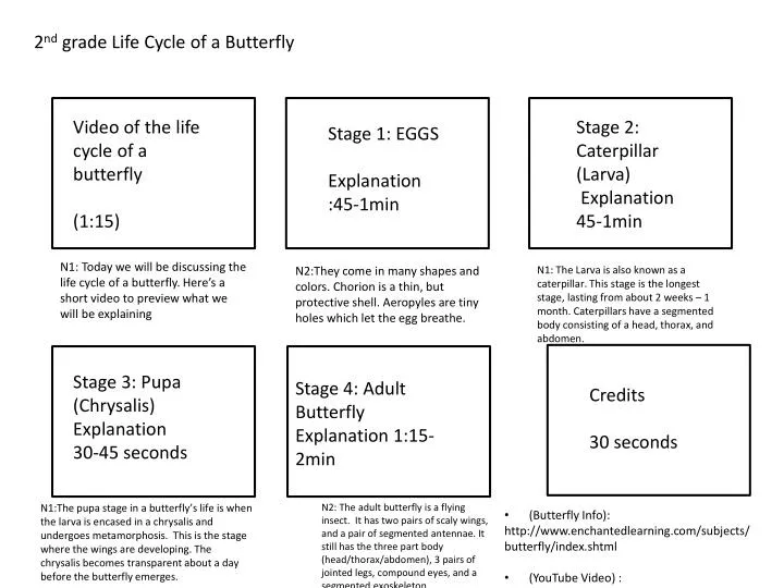 Ppt 2 Nd Grade Life Cycle Of A Butterfly Powerpoint