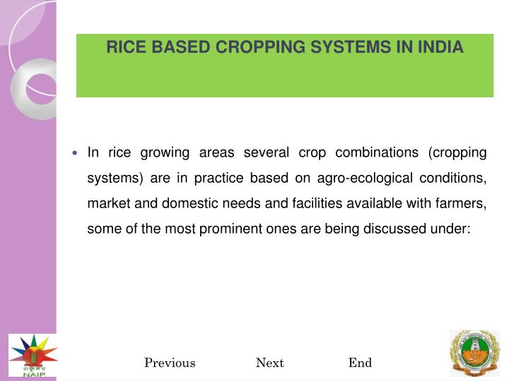 PPT - INTER AND SEQUENTIAL CROPPING (CROP ROTATION) IN RICE PowerPoint ...