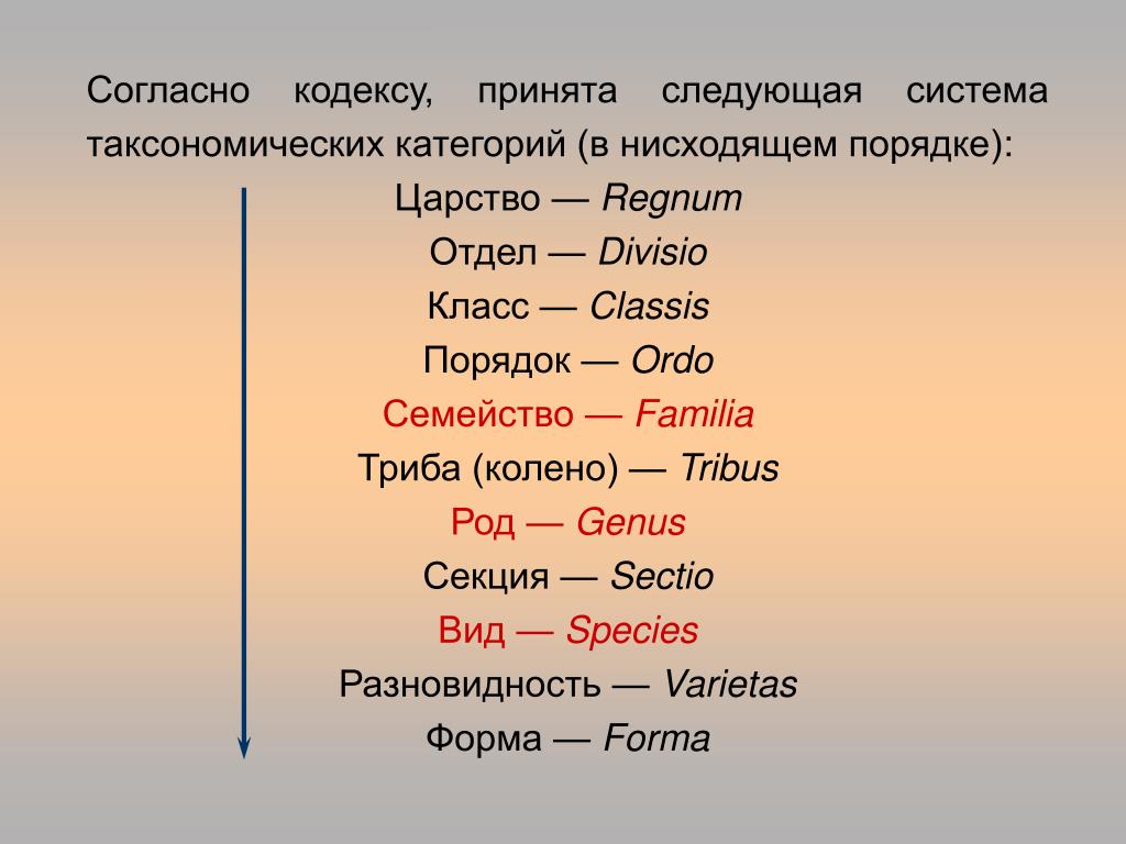 Триба это. Система таксономических категорий. Полынь царство отдел класс порядок семейство род вид. Таксономические категории. Порядок царство вид отдел класс.