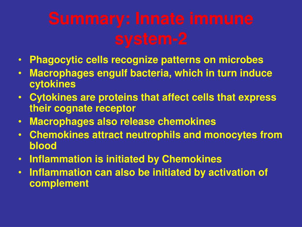PPT - Immune System PowerPoint Presentation, free download - ID:5104464