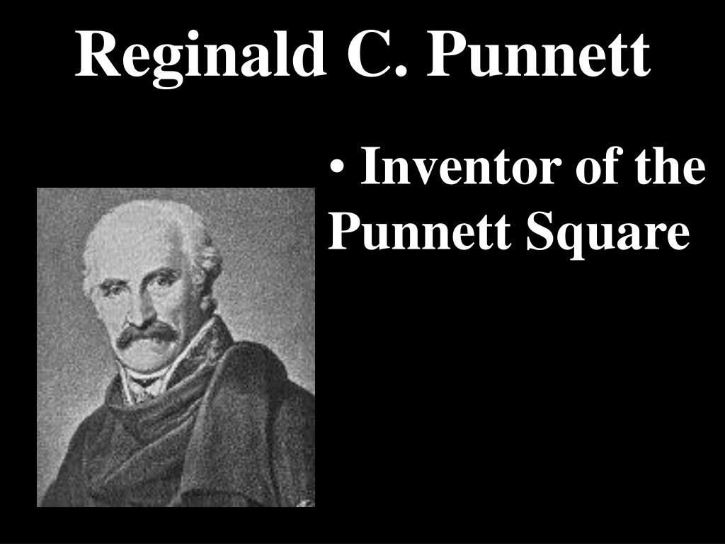 Who Really Invented the Punnett Square?