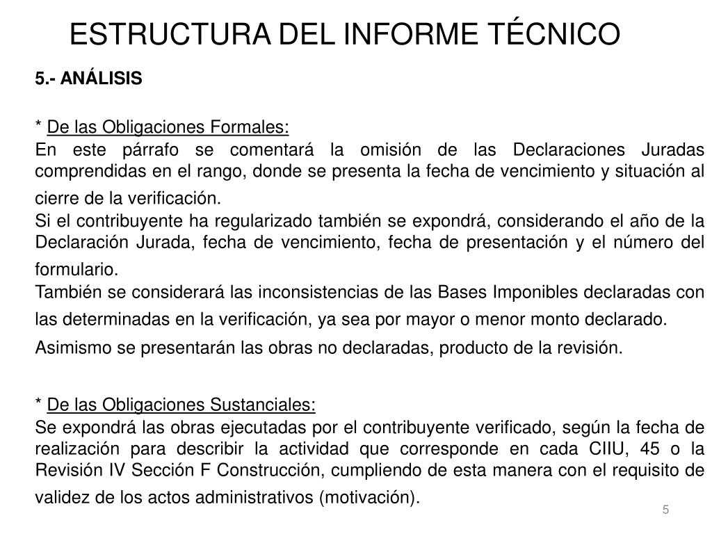 Estructura Del Informe - Riset