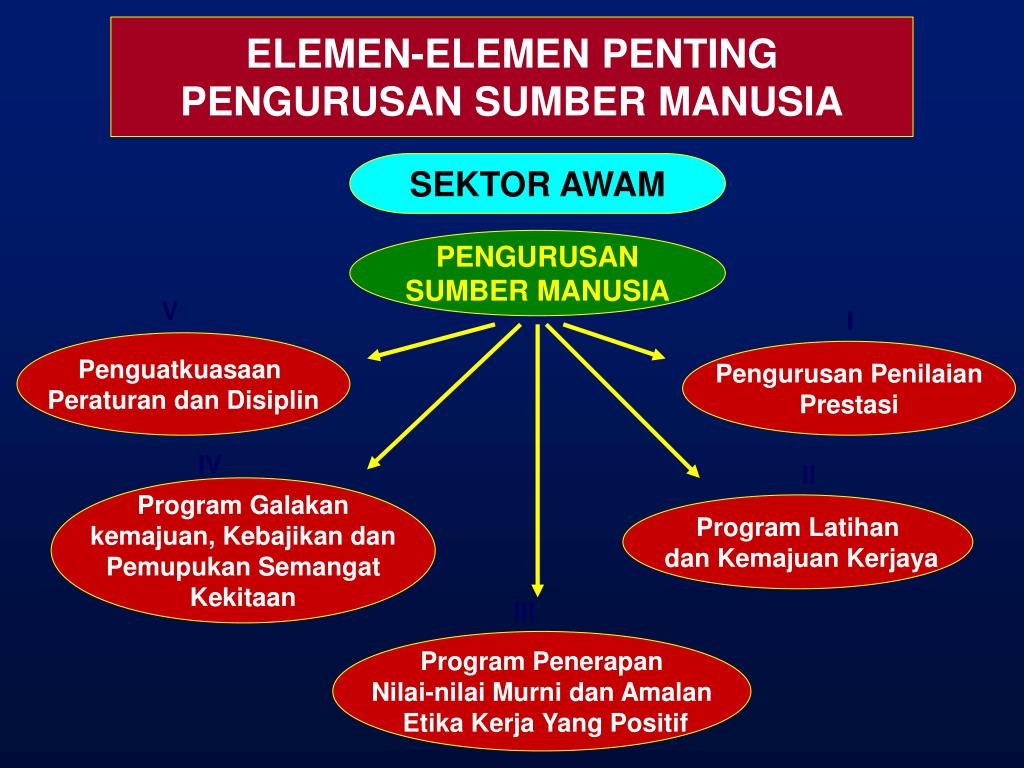 Jurnal Pengurusan Sumber Manusia / Fungsi dan peranan pengurus sumber