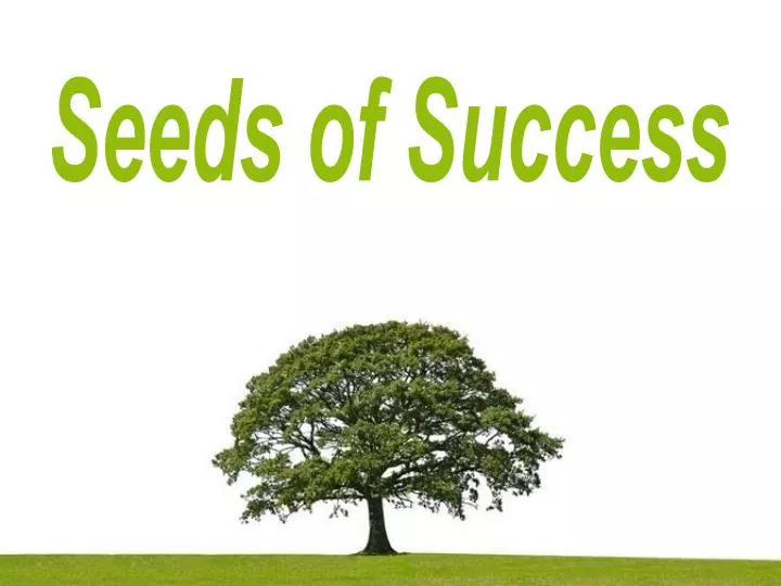 PPT - Seeds of Success PowerPoint Presentation, free download - ID:5109997