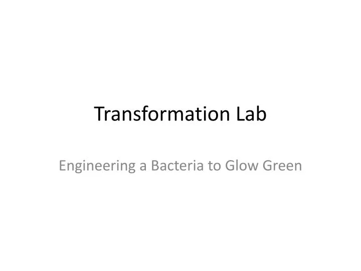 transformation lab n.