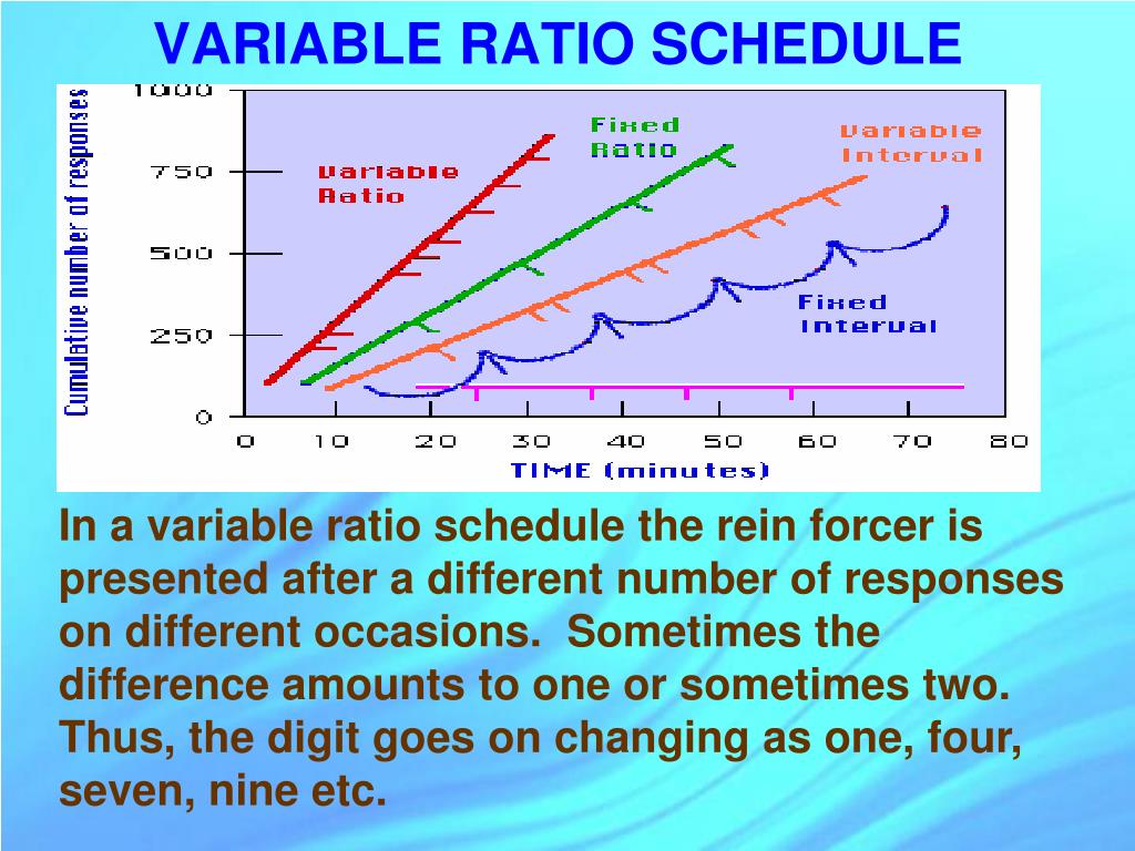  What Is An Example Of A Variable Interval Schedule Of Reinforcement 