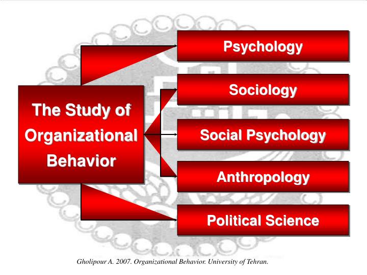 history of the study of organizational History of the organization of work: history of the organization of work, history of the methods by which society the study of historical changes in the. history of the study of organizational History of the organization of work: history of the organization of work, history of the methods by which society the study of historical changes in the.