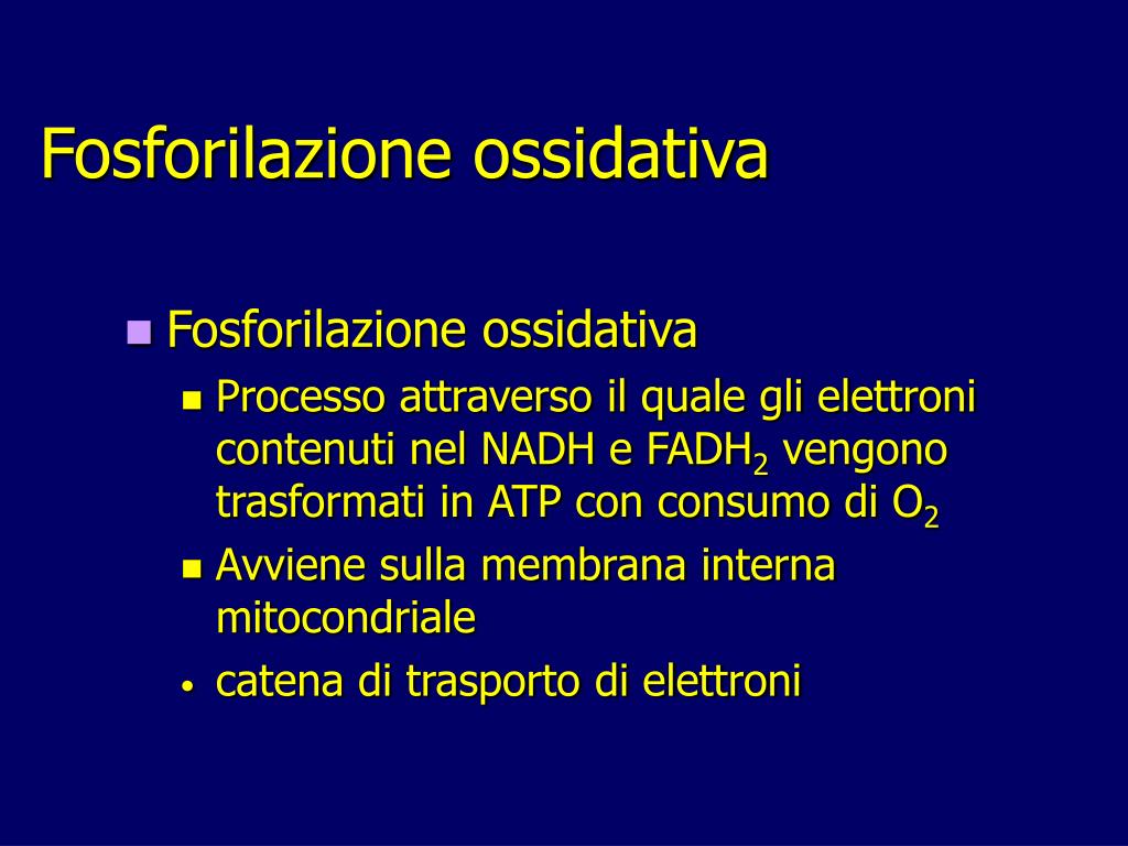 PPT Fosforilazione ossidativa PowerPoint Presentation, free download