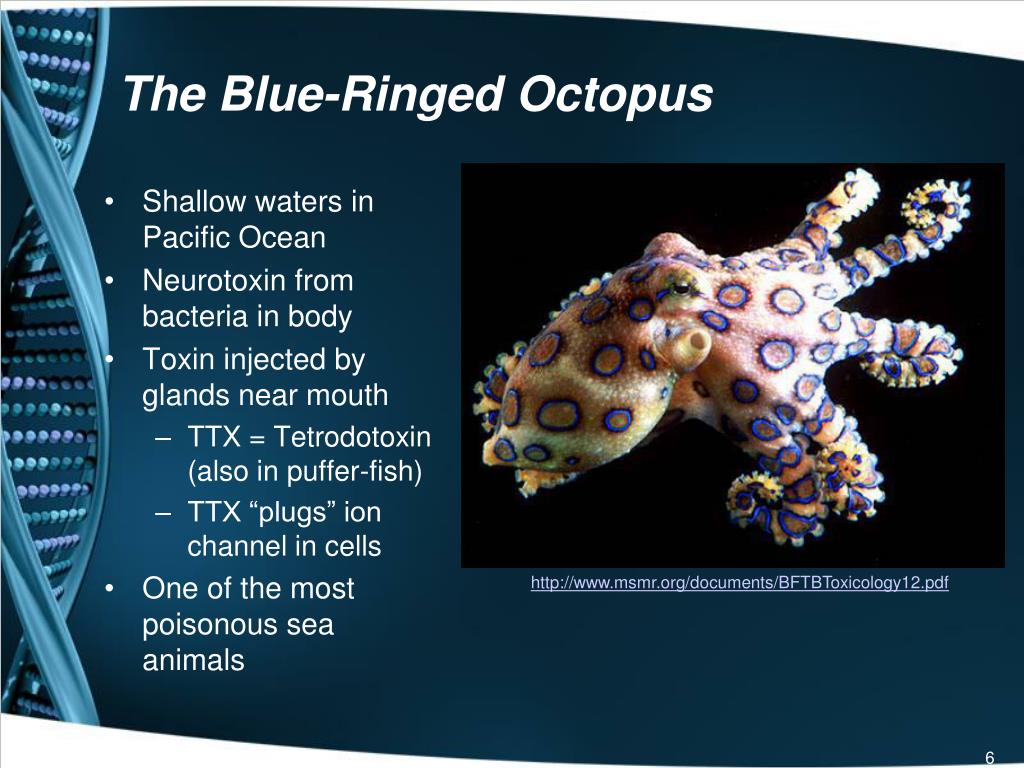 what do you understand by symbiotic relationship explain giving suitable examples