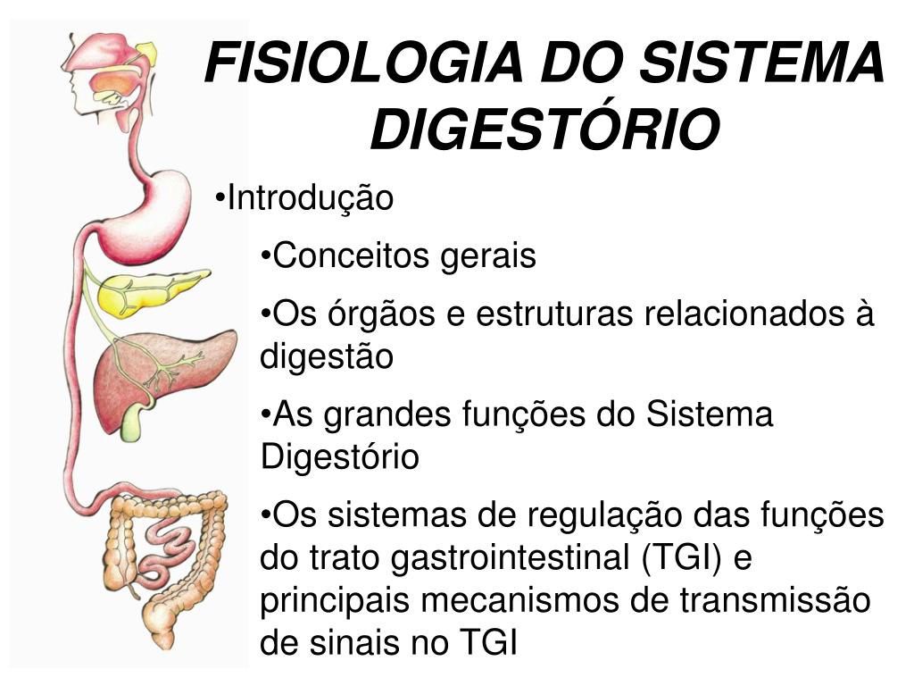 PPT - FISIOLOGIA DO SISTEMA DIGESTÓRIO PowerPoint Presentation