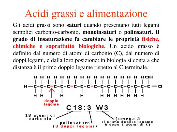 PPT ACIDI CARBOSSILICI PowerPoint Presentation ID5127799