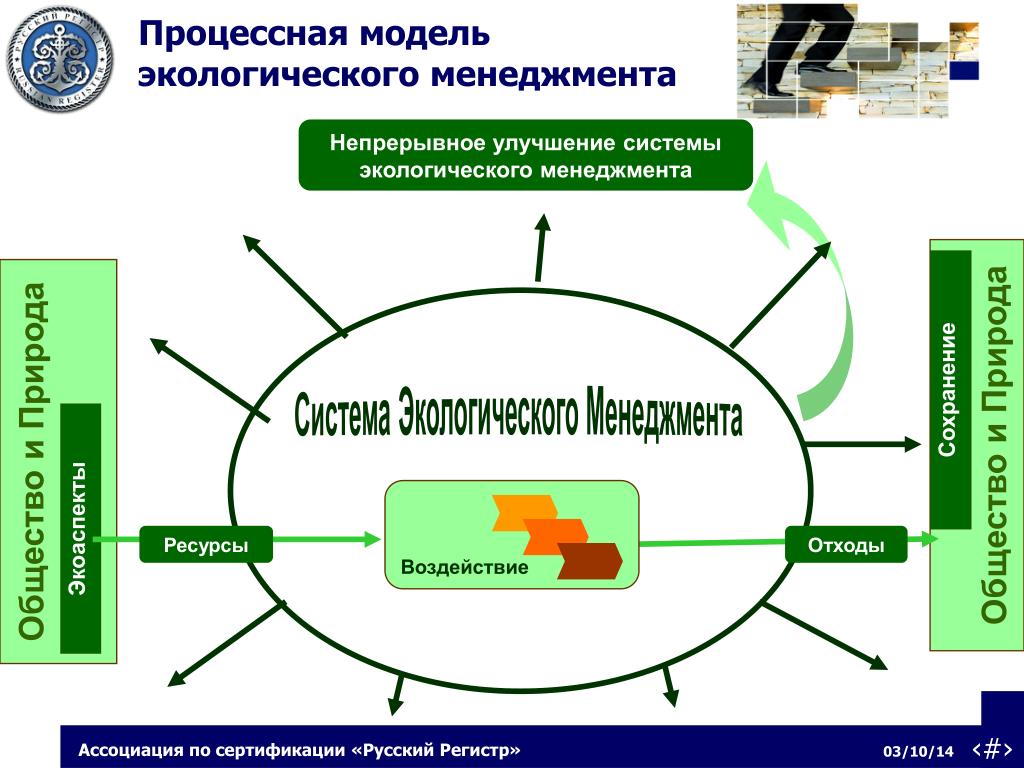 Организация экологического менеджмента. Система экологического менеджмента схема. Процессная модель. Модель экологического менеджмента. Процессная модель управления.