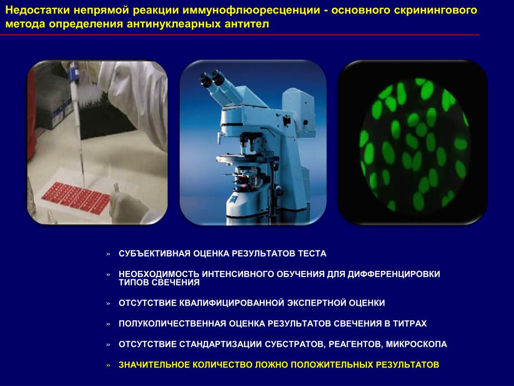Реакция иммунофлюоресценции презентация