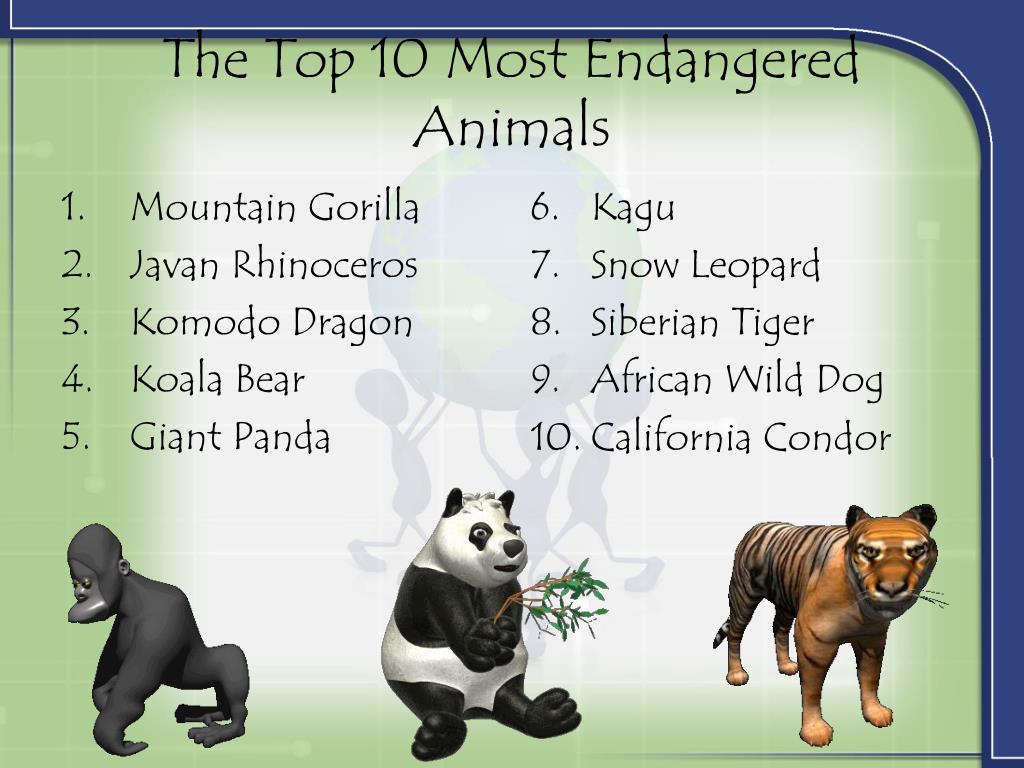 PPT Top 10 Most Endangered Animals PowerPoint Presentation, free