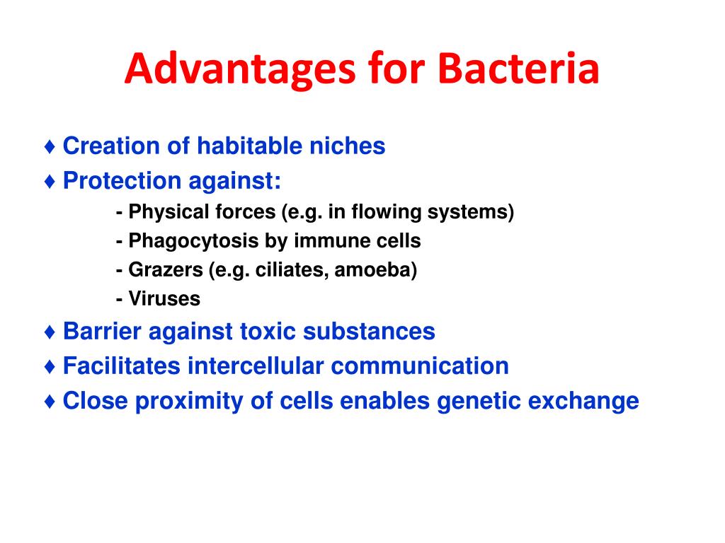 Advantages And Disadvantages Of Bacteria