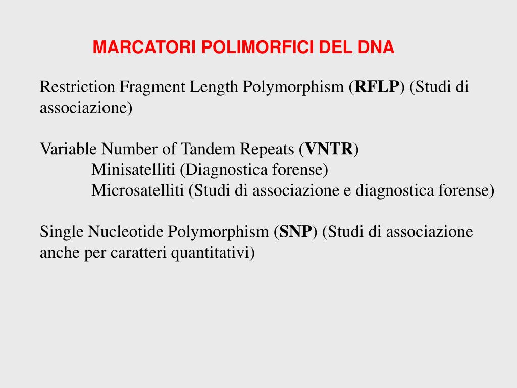 PPT - MARCATORI POLIMORFICI DEL DNA PowerPoint Presentation, free download  - ID:5136497