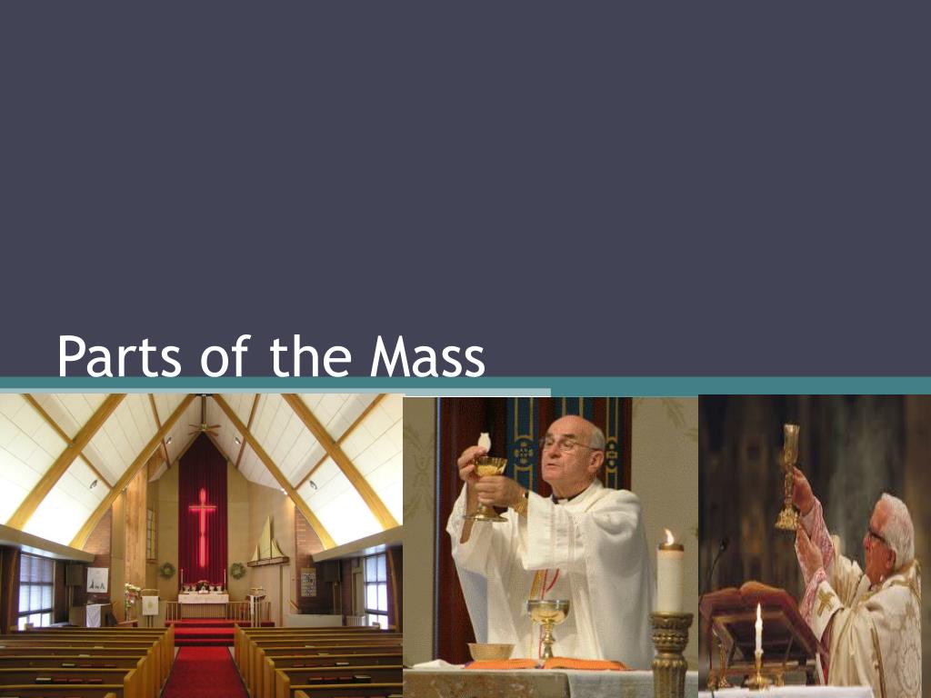 liturgy of the word vs mass liturgy of the word vs mass
