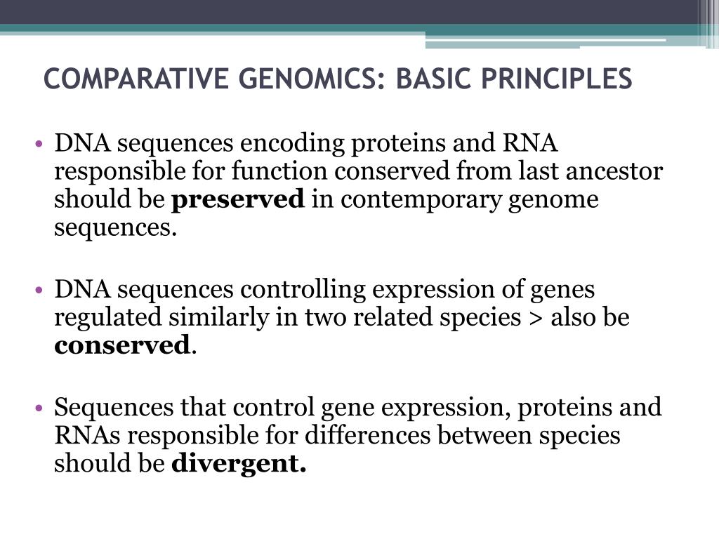 Ppt Comparative Genomics Powerpoint Presentation Free Download Id5137435 