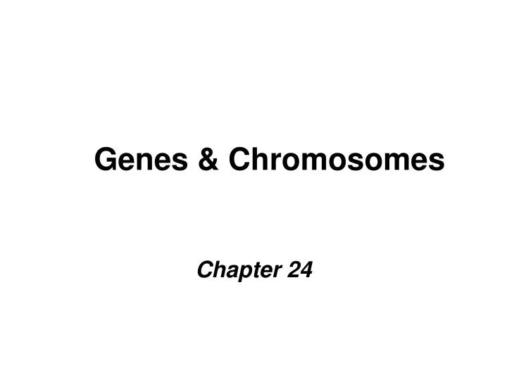 genes chromosomes n.