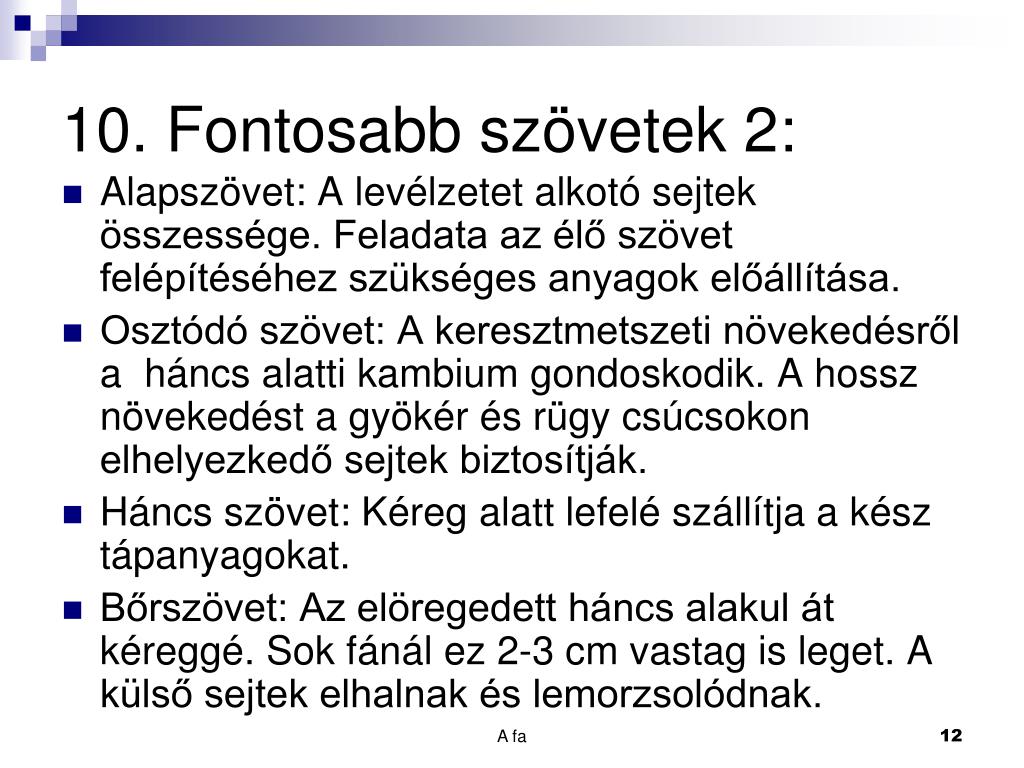 Tropikus Nyomornegyed ágy fa sejtszerkezete Kábító Nyítás Matematikai