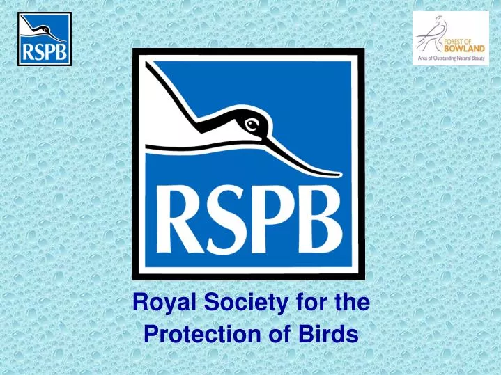 royal society for the protection of birds n.