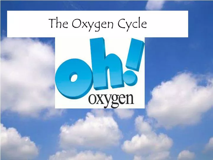 the oxygen cycle n.