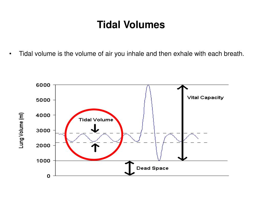 normal tidal volume in ml