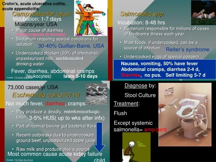 PPT Fever, diarrhea, abdominal cramps PowerPoint Presentation, free download ID5144711