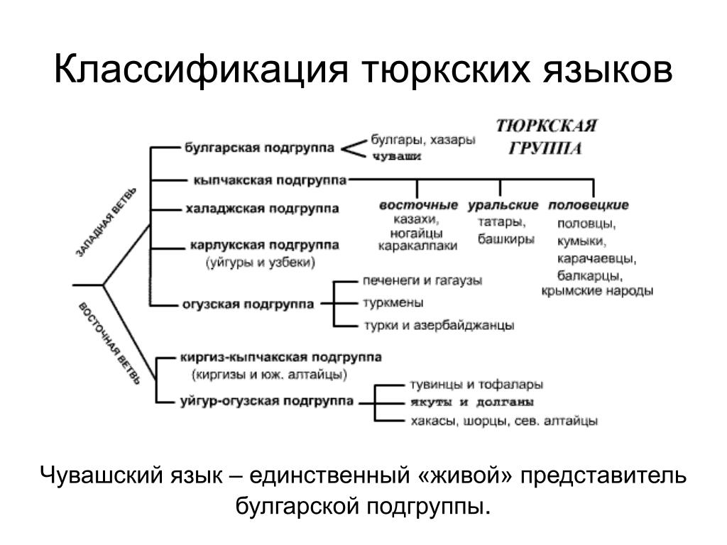 История относится к группе. Тюркская группа языков. Тюркской ветви Алтайской семьи. Баскаков тюркские языки классификация. Тюркская семья языков список языков.