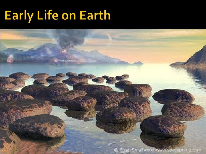 early life on earth n.