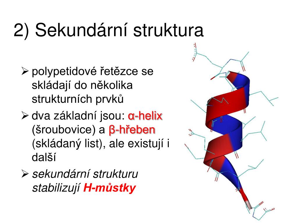 PPT - aminokyseliny PowerPoint Presentation, free download - ID:5150276