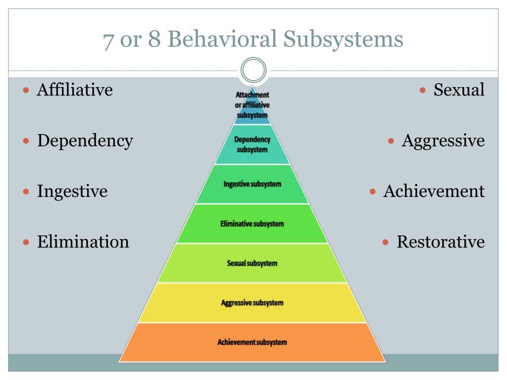 johnsons behavioral system model